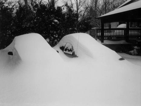 [cars completely covered with snow]